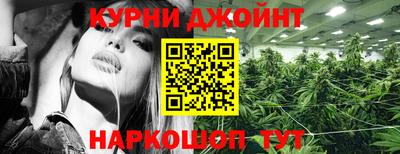 гидра Тулун